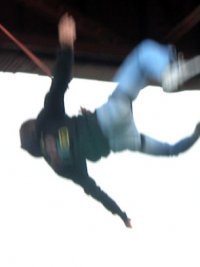 assembly_point's profile picture. 