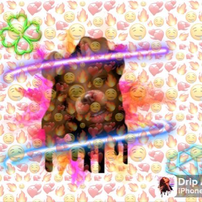 bracefacecasshh's profile picture. Nle fan Snapchat is bracefacecash1