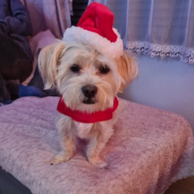 MonikaW78's profile picture. 