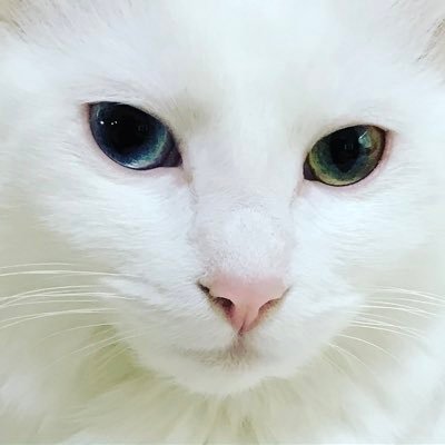 紅玉さんのプロフィール画像