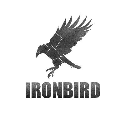 Ironbird Contracting and Consulting