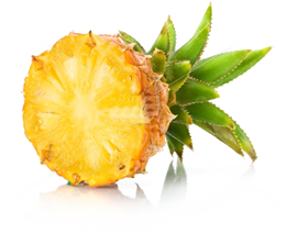 pineapplehotel's profile picture. At the Piney we offer fantastic food, service and the best atmosphere for a great night out with friends, the family or your next function. Come say hello!