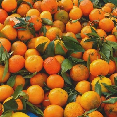 frnkierondale's profile picture. profilo inattivo al momento, see u soon