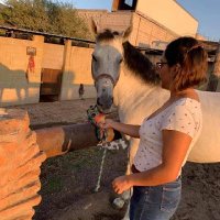 @AndreaSerrano (@andreaserrano_a) 's Twitter Profile
