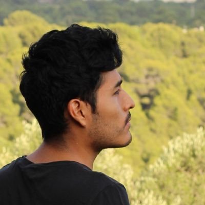 Profesor de primaria y músico.
Interesado en el entorno natural y social. Profundizando en el crecimiento y desarrollo integral del individuo.