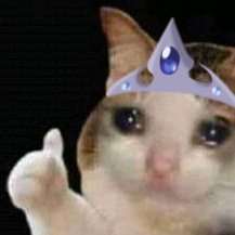 Princess Babieさんのプロフィール画像