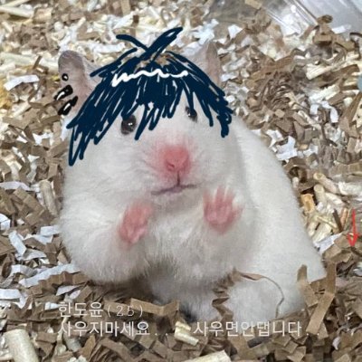 Bㅔ슷따와 딱따구리🦜さんのプロフィール画像