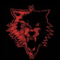 ππππππππ½π (@mistolobo_) 's Twitter Profile