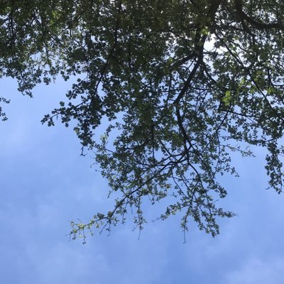 al_2my's profile picture. {وَمَنْ أَحْسَنُ قَوْلًا مِّمَّن دَعَا إِلَى اللَّهِ وَعَمِلَ صَالِحًا وَقَالَ إِنَّنِي مِنَ الْمُسْلِمِينَ}