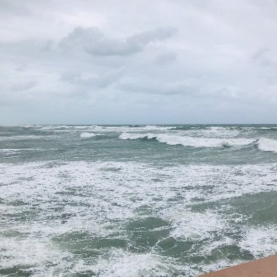 KathyLa80282822's profile picture. 