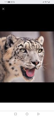 ABOUYOU12432825's profile picture. الحياة محطة والكل نازل منها