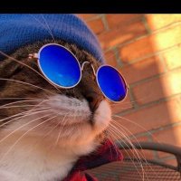 Ментал Федя🇷🇺 (@mentalfedya) 's Twitter Profile