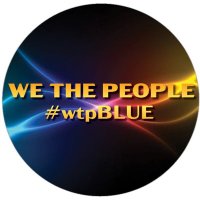 we the people (#wtpBLUE)(@wtpBLUE) 's Twitter Profile Photo