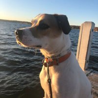 KP (@snkschmidt) 's Twitter Profile