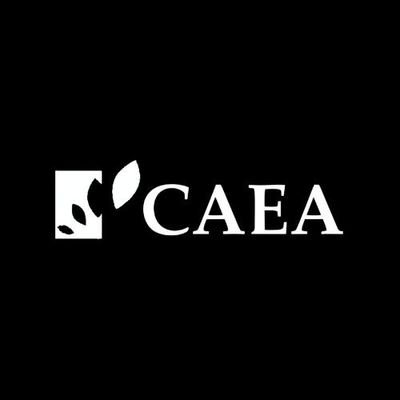 Centro Acadêmico de Engenharia Ambiental da Universidade Federal do Paraná - CAEA UFPR Gestão Poente - 2021