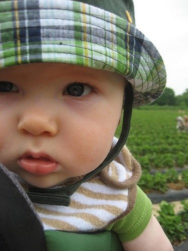 TheRoot__'s profile picture. Husband, Father, High School Principal, Avid Longhorn, Rockets, Astros, and Texans fan.