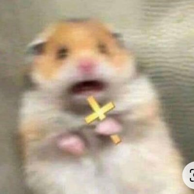 100percenterror's profile picture. 