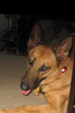 Tscc1rocks's profile picture. 