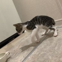 しゅんた (@wbzaqmbjhrdov7c) Twitter profile photo