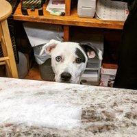 Corks and Kegs (@corksandkegs) 's Twitter Profile Photo Corks and Kegs (@corksandkegs) 's Twitter Profile Photo