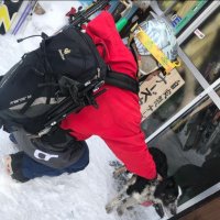 いぐちさん (@nomissfit) 's Twitter Profile