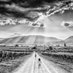 Roche Wines (@rochewines) Twitter profile photo Roche Wines (@rochewines) Twitter profile photo