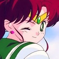 Venelope 🐾🏵さんのプロフィール画像