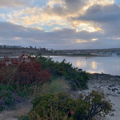 The official @csuf Zacherl Lab. Research topics include: #recruitmentsettlement, #populationconnectivity, #restorationecology, and #NativeNonNativeInteractions