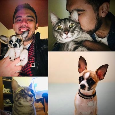 Camece's profile picture. 😼🐱Gastón 🐶 Spike 🤍🖤