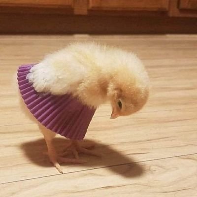 w0oom's profile picture. https://t.co/Qzj7iVae0W