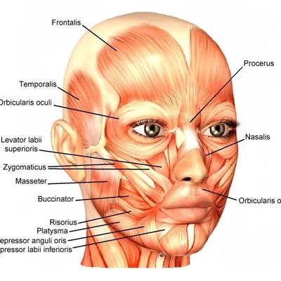 EBookediting's profile picture. 예비출판편집자🌇
