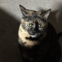 Mary D. (@mmmdx3) 's Twitter Profile