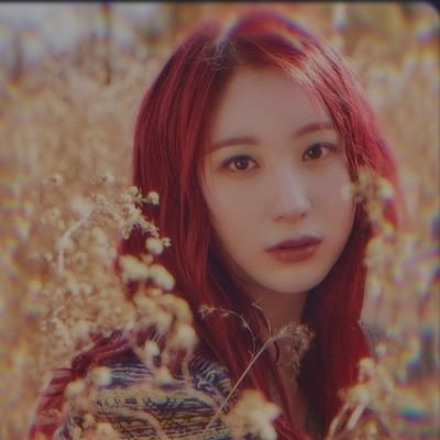 Chaeyeon RT BOT