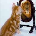 David Manullang - @davidlambok - Twitter