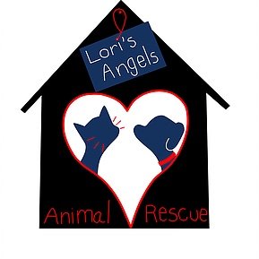 LorisAngels2019's profile picture. 