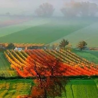 analysisforall9's profile picture. 