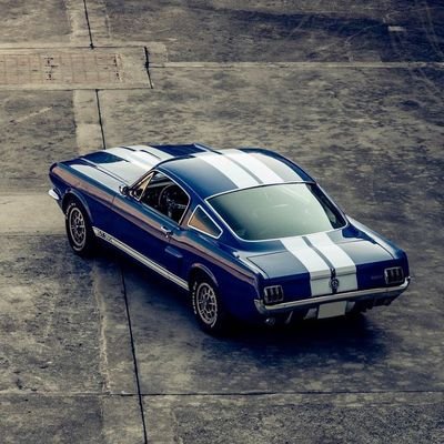 LilBlu33036920's profile picture. I just hope this money take the pain away
And I've been tryna save my money for a rainy day