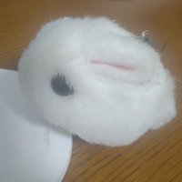ねい🐰 (@nei_hpmi) 's Twitter Profile