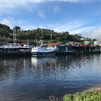 Dart Totnes Rowing Club (New Official Account) (@darttotnes) 's Twitter Profile