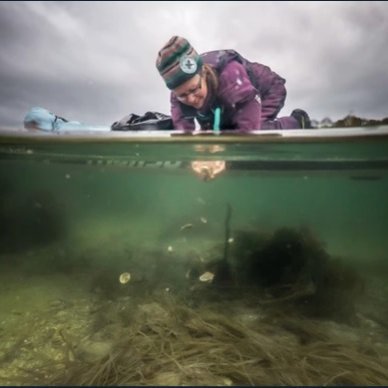 OceanInterface's profile picture. 