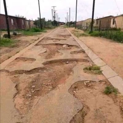 James31497347's profile picture. proudly south African