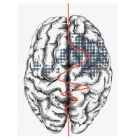 LMU Section for Precision Psychiatry (@lmu_snap) 's Twitter Profile