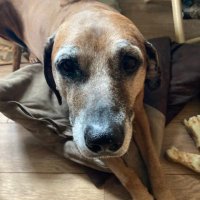 NOCOTU (@nocotu) 's Twitter Profile Photo