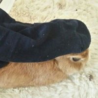 しんさん (@oumwky3byyogzy7) 's Twitter Profile Photo