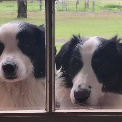 aaronparnell9's profile picture. 