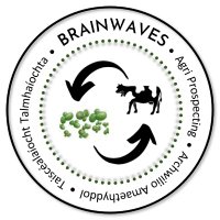 BRAINWAVES Project(@BrainwavesEU) 's Twitter Profileg