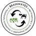 BRAINWAVES Project (@brainwaveseu) Twitter profile photo BRAINWAVES Project (@brainwaveseu) Twitter profile photo