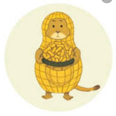 I_N_M____'s profile picture. 産後採用のママ教員です。講師経験あり。いいねは共感や応援の気持ちを込めて押しています♡リツイート多め。気持ちが落ち込んだ時につぶやくことが多い。リプは遅めです💦身バレ防止のためフェイク、ツイ消し有りです。