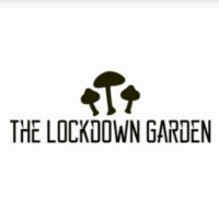 The Lockdown Garden(@GardenLockdown) 's Twitter Profile Photo