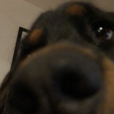 ZipAlbert's profile picture. 